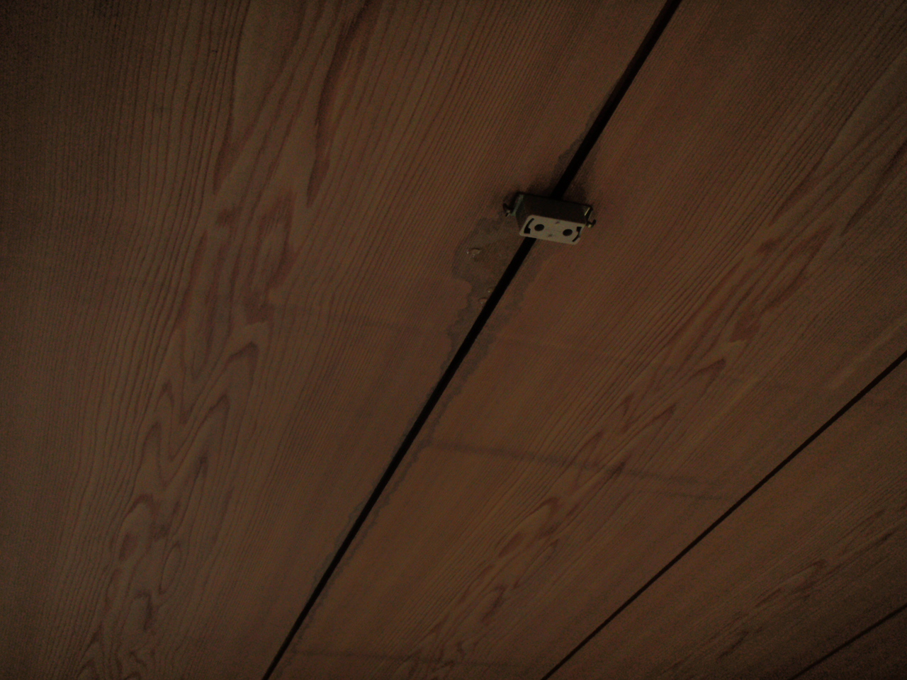天井照明器具からの漏水。外壁方向から水が流れている跡がある。